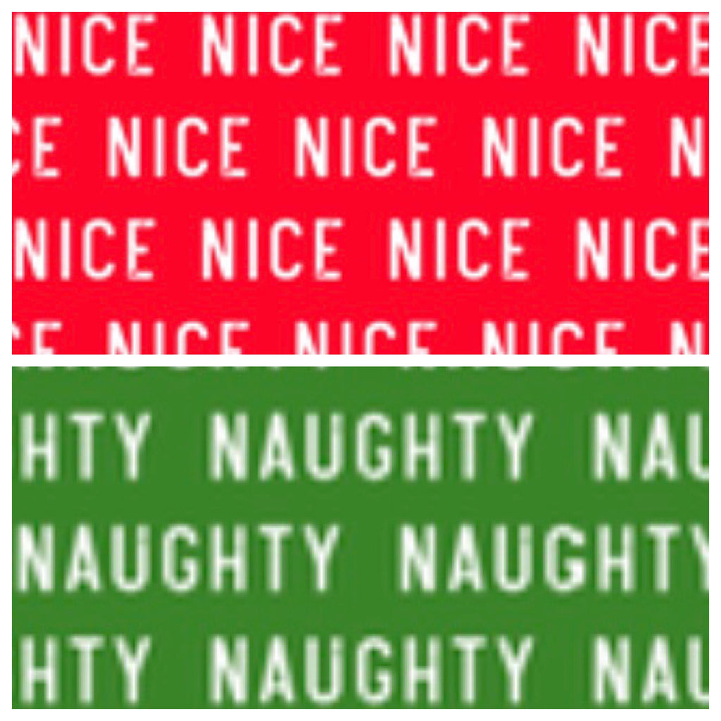 Naughty & Nice Leotard
